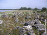 Камни на Соловецких островах