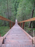 Фото деревянной лестницы в лесу, уходящей вдаль