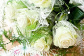 Фото белых свадебных роз