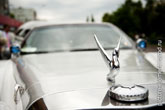 Фото металлической птички и радиаторной крышки на капоте свадебного лимузина