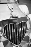 Фото птички на капоте свадебного лимузина и металлической радиаторной решетки в форме сердца