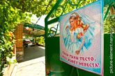 Свадебный плакат на металлической двери «Тили-тили-тесто, здесь живет невеста»